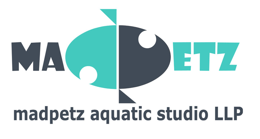 Madpetz Aquatic Studio llp