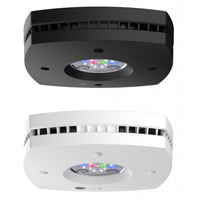AquaIllumination AI PRIME 16 HD Smart Freshwater LED