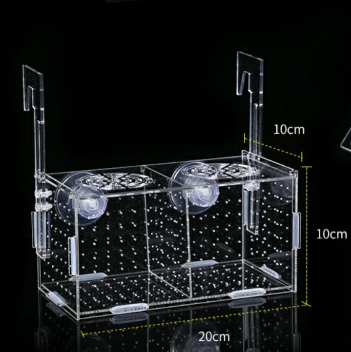 diy breeder box for fish DIY Acrylic Breeder Box