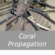 Coral Propagation