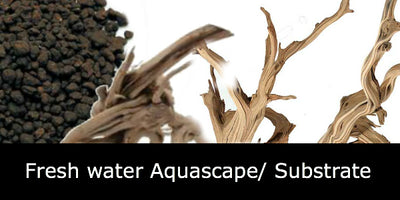 Fresh water Aquascape/ Substrate