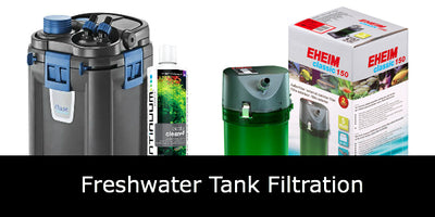Freshwater Tank Filtration