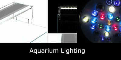 Aquarium Lighting