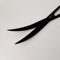 BSFH STAINLESS STEEL BLACK ANODIZED SCISSORS