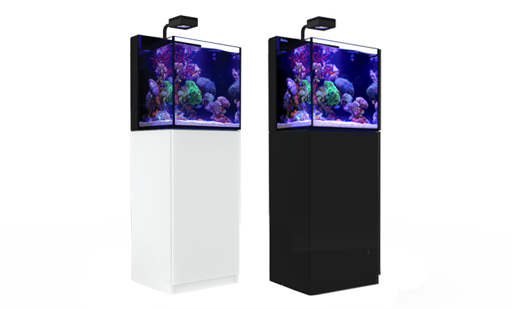 【kazuya04030618さま専用】 Red Sea MAX NANO Red Sea Max Nano | Madpetz Aquatic Studio llp