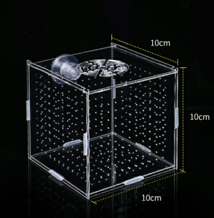DIY Acrylic Breeder Box