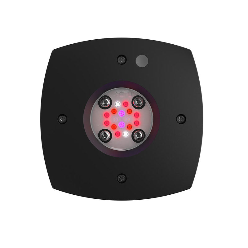 AquaIllumination AI PRIME 16 HD Smart Refugium LED | Madpetz