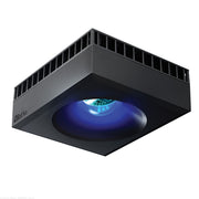Red Sea Reef LED